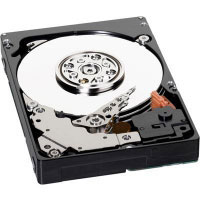 Western digital VelociRaptor 600GB (WD6000BLHX)